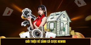 Giới thiệu về nhà cái kuwin 789